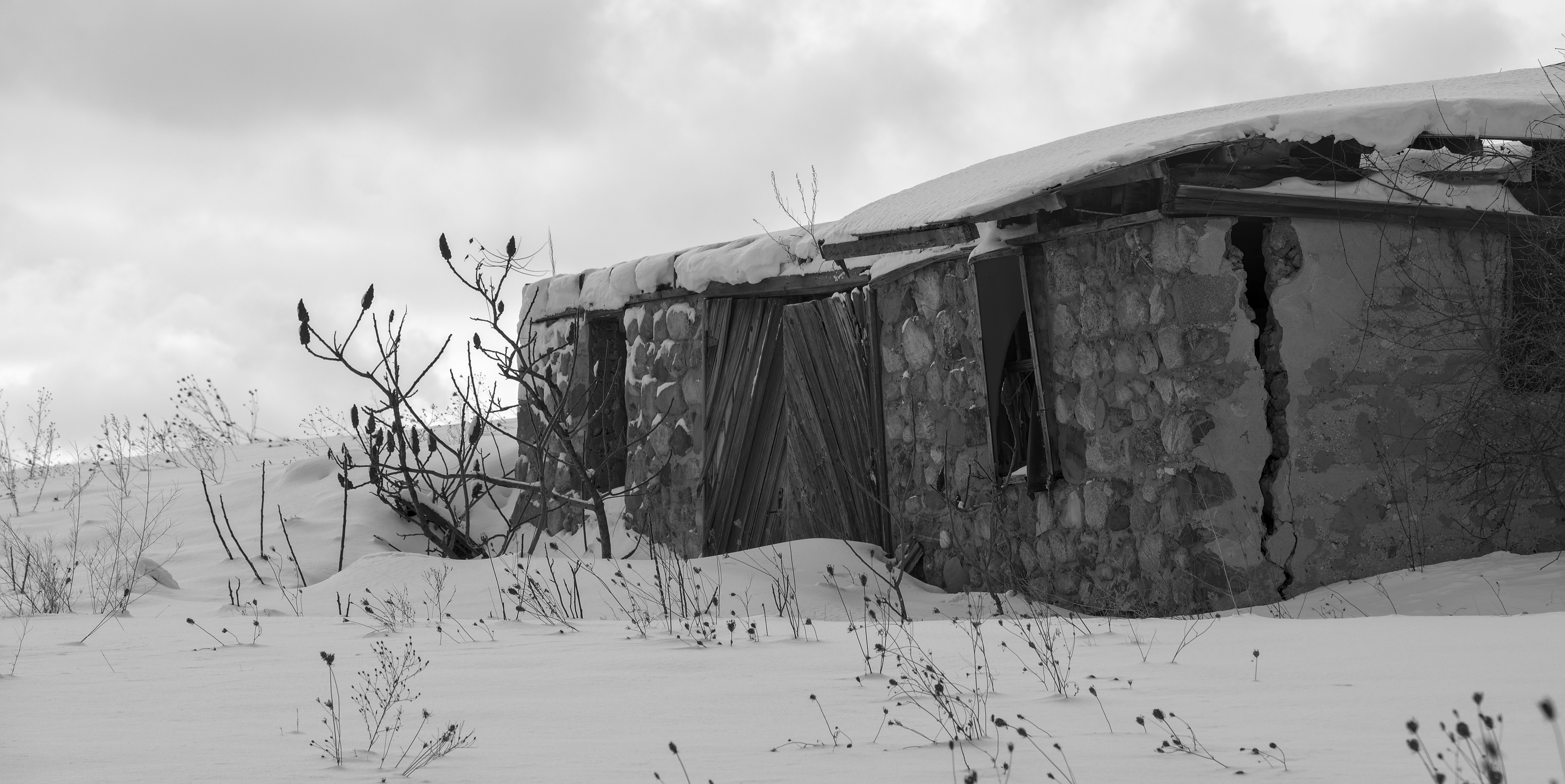 Printing and Permanence