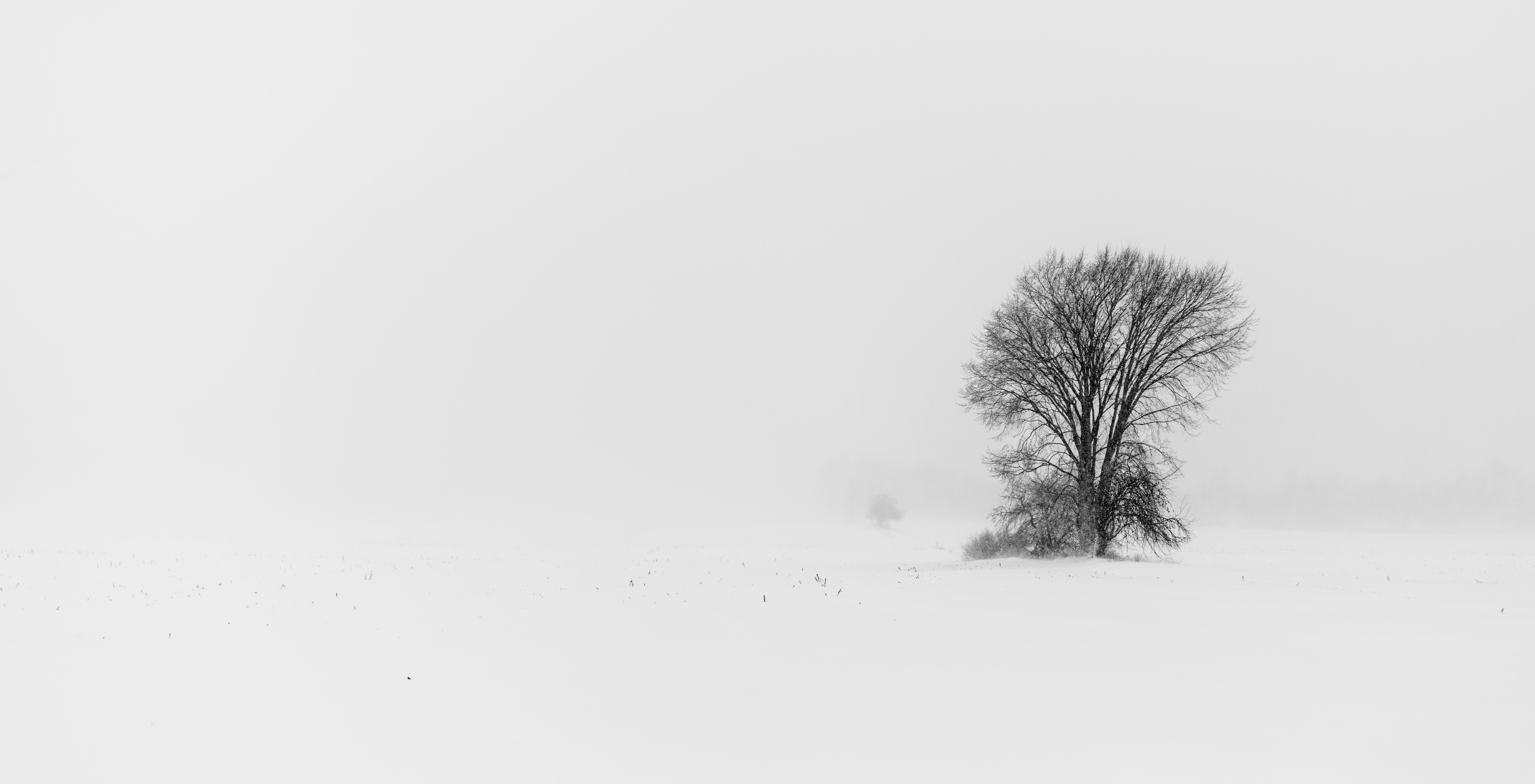 The Long Storm