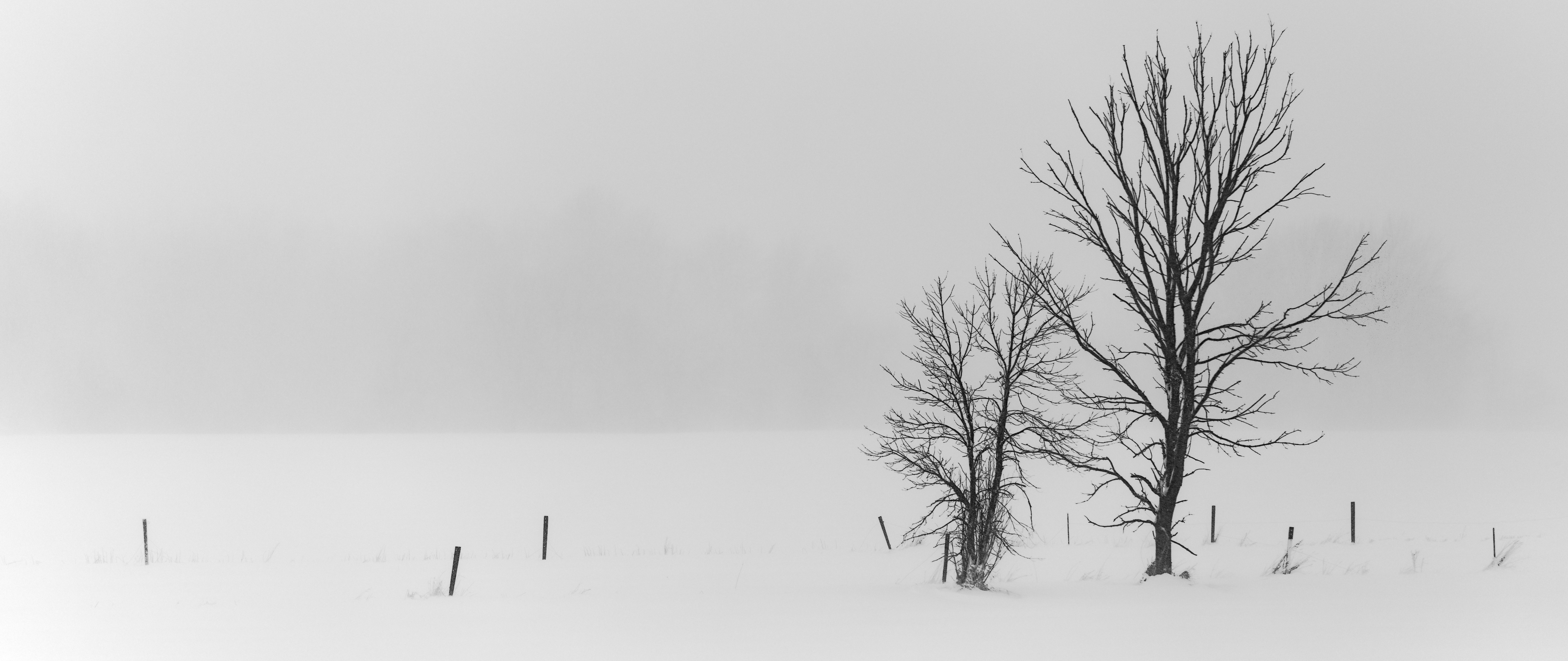 Quiet Divide
