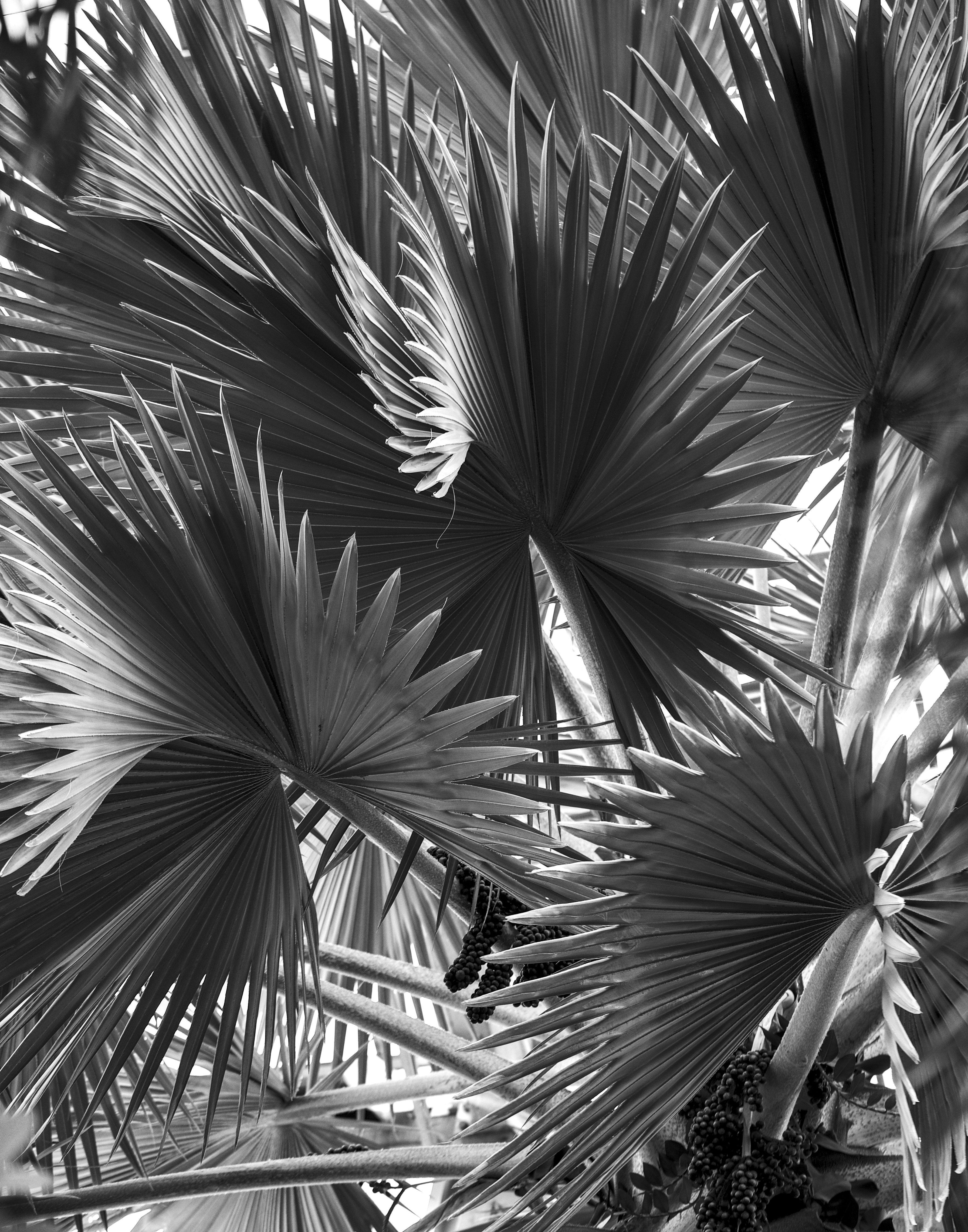 On Editing, Restraint, and Knowing When to Stop