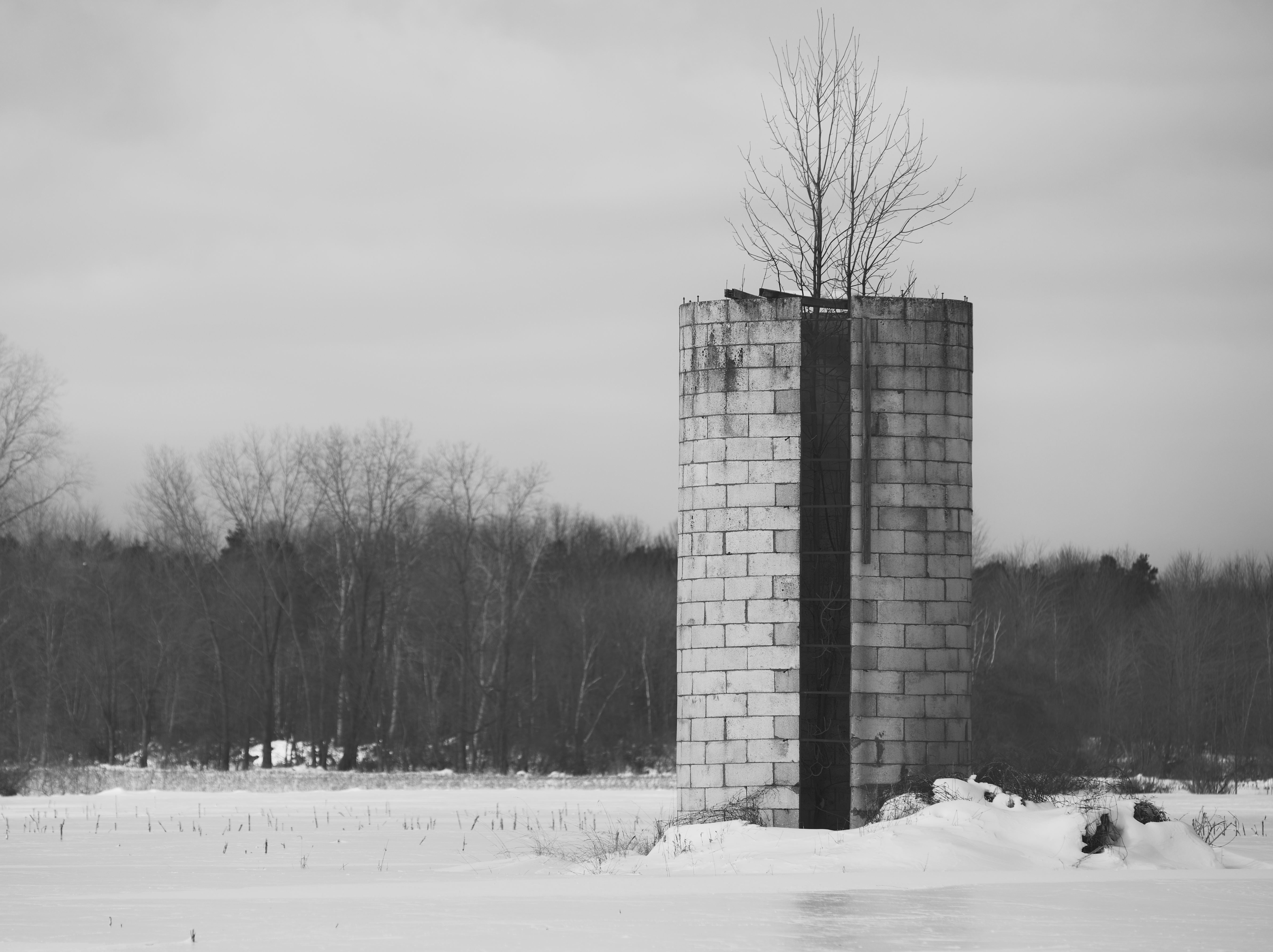 What Remains Upright